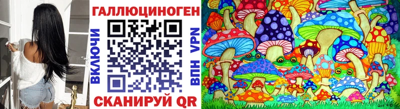 omg ссылки  Ростов  Псилоцибиновые грибы прущие грибы 